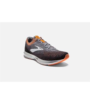 کفش ورزشی بروکس Brooks  Levitate 2
